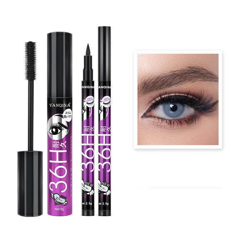 Eyeliner and Mascara Combo 2