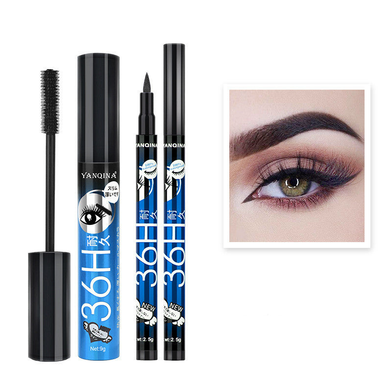 Eyeliner and Mascara Combo 2