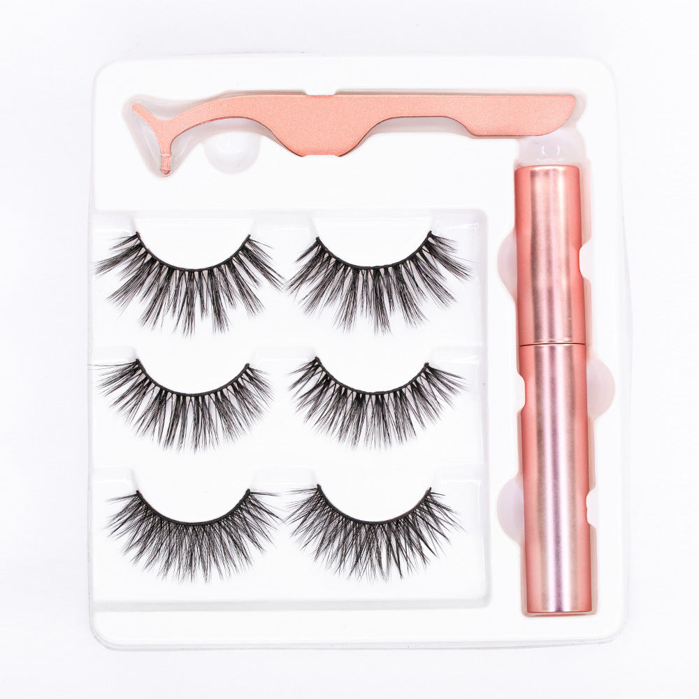 Magnetic False Eyelashes 5 Pairs Of Eyeliner